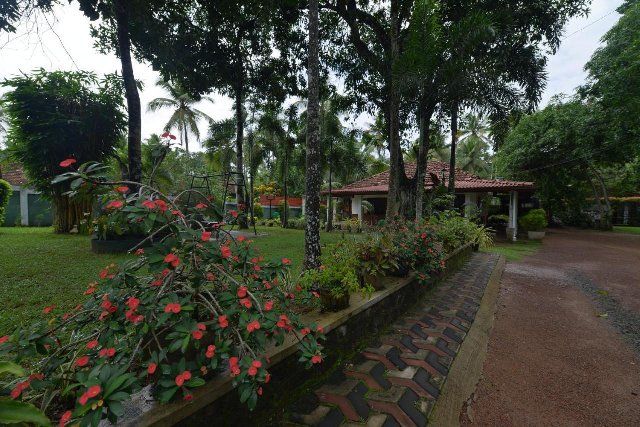 Venus Resorts Danwilana Exterior photo